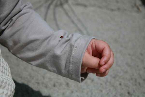 Taupe Shirt – Bild 6