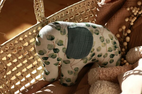 Eucalyptus Elefant