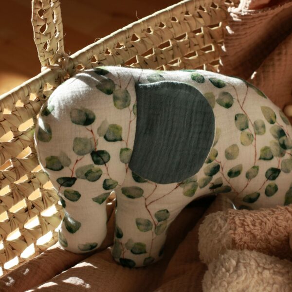 Eucalyptus Elefant