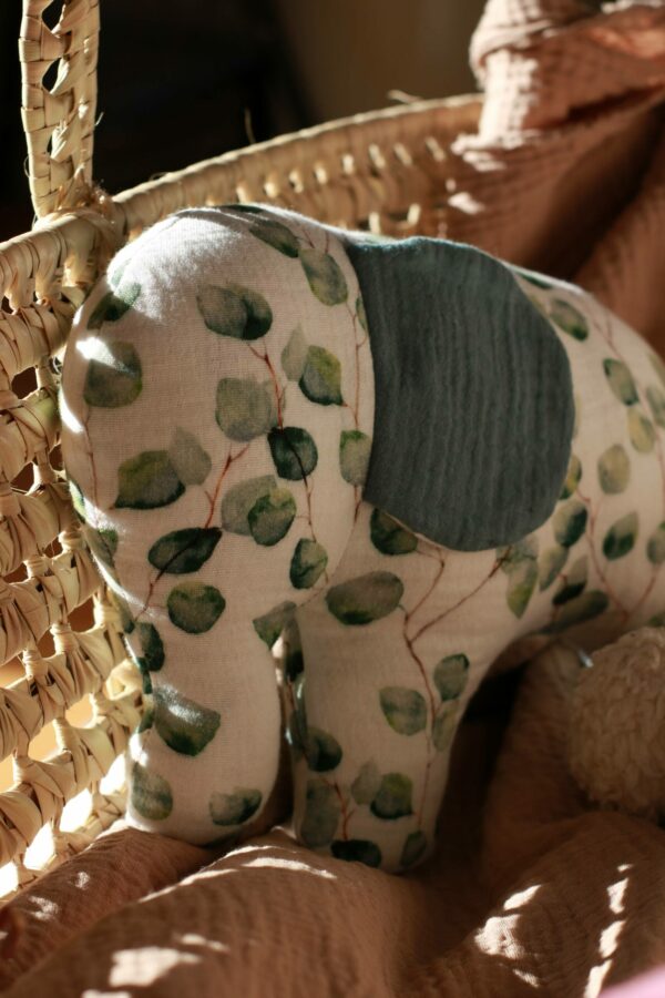 Eucalyptus Elefant – Bild 2