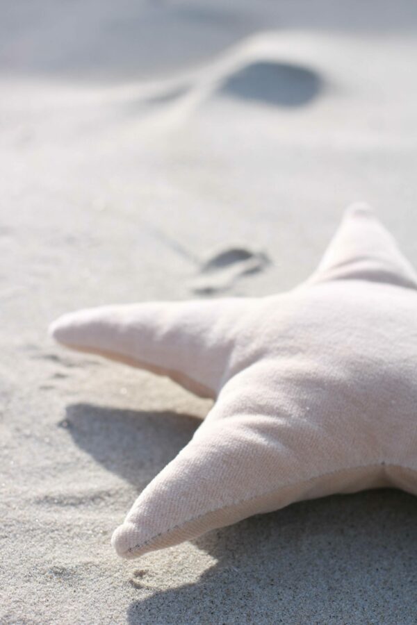 Rasselstern Sand – Bild 4