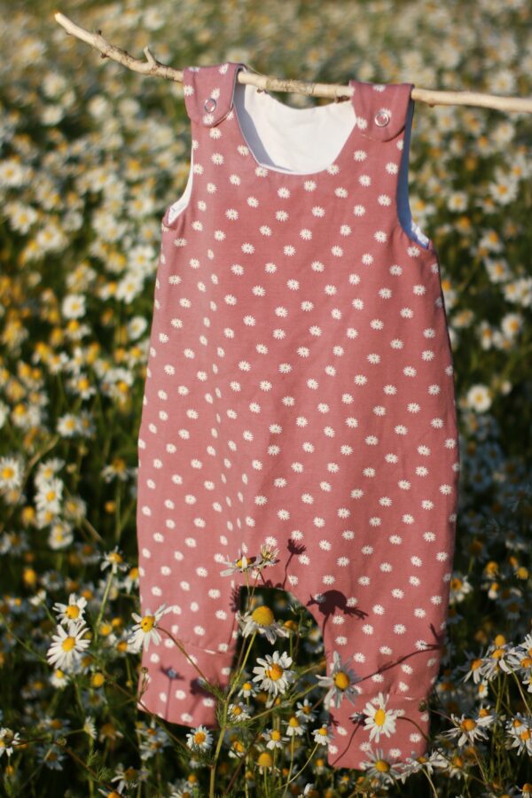 Margeriten Set – Bild 9
