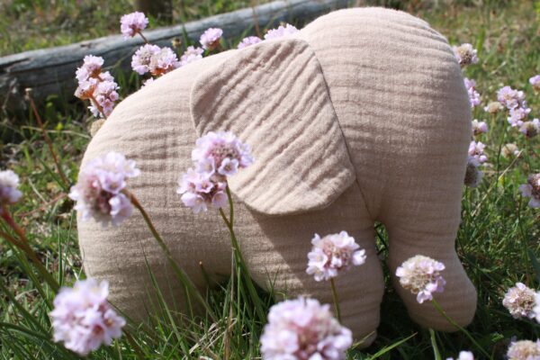 Natur Elefant – Bild 5