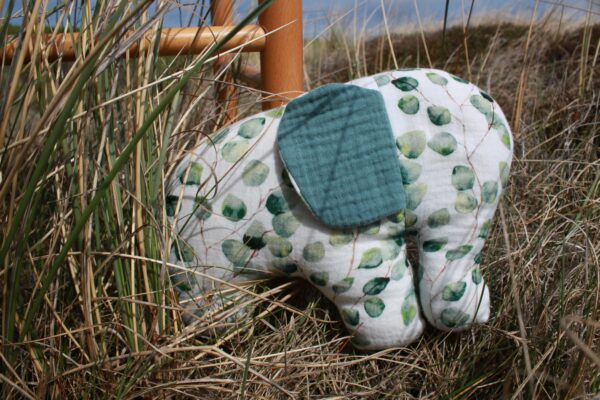 Eucalyptus Elefant – Bild 5