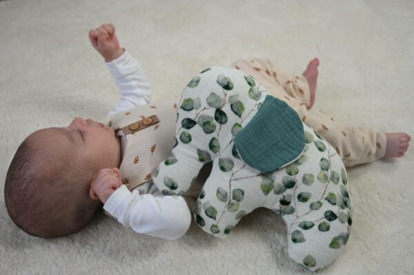 Eucalyptus Elefant – Bild 3
